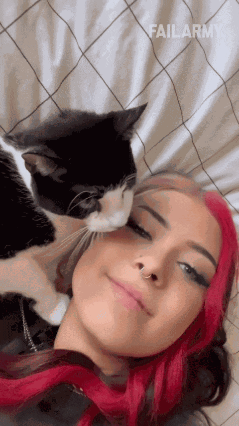 GIF animé