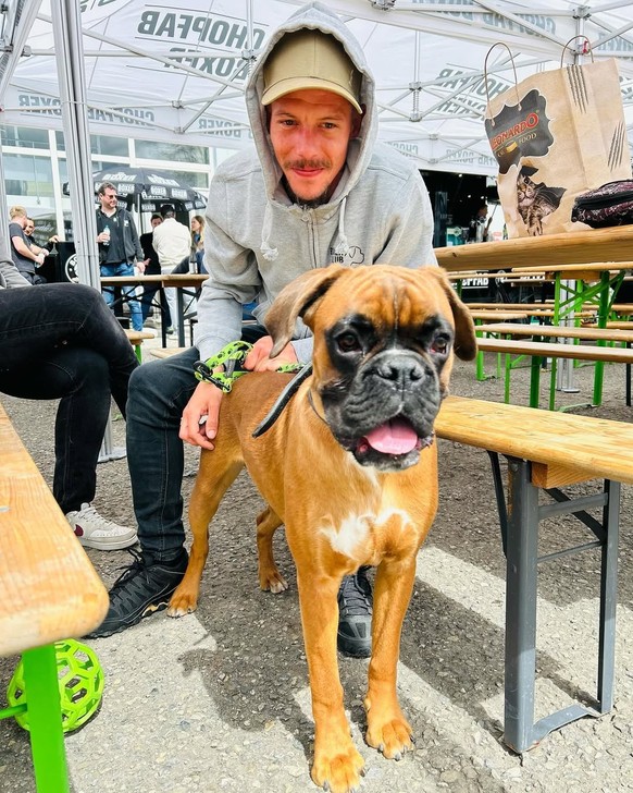 La bière Boxer retrouve son chien.