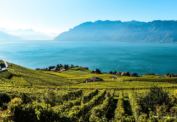Profitez de vues splendides sur les vignes, les montagnes et le Léman.