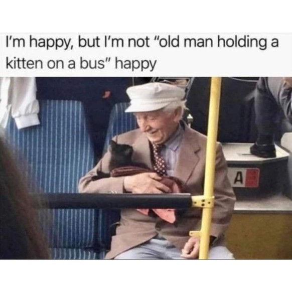 19 Memes, die einfach ans Herz gehen ❤ – Teil zwei
