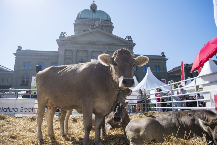 20. Sichlete des Berner Bauernverbands auf dem Bundesplatz, am Montag, 17. September 2018, in Bern. (KEYSTONE/Marcel Bieri)