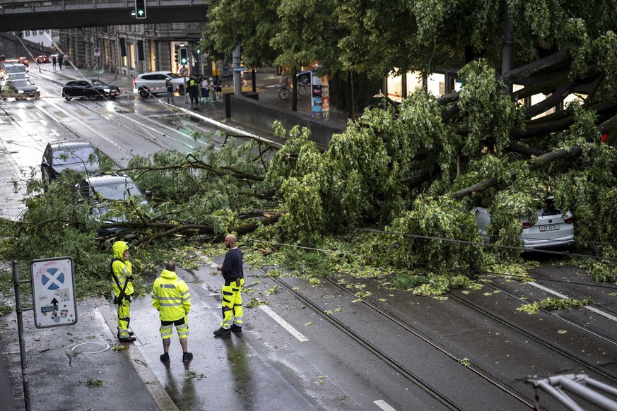 epa13050088 Zurich emergency services personnel inspect a fallen tree that struck three cars and the VBZ overhead power lines after being struck by lightning in Zurich, Switzerland, 19 June 2026. The  ...