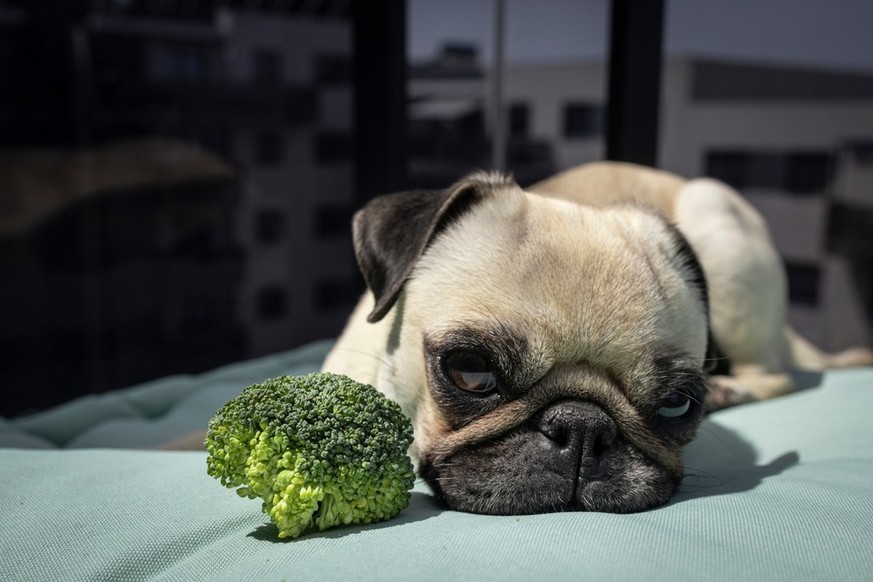 Qui a dit que c'était rigolo, de manger des légumes et d'aller à la salle de sport?