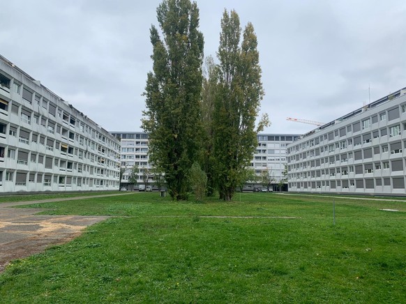 Reportage le 15 octobre 2025 à Meyrin pour le second tour de l&#039;élection complémentaire au conseil d&#039;Etat genevois, le 19 en octobre.