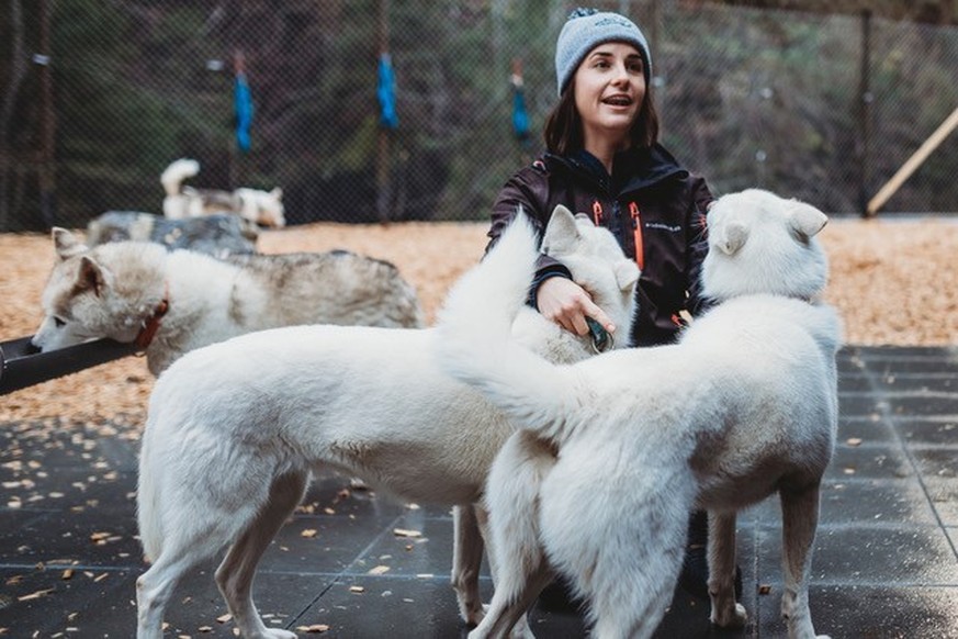 Erlebniswelt Muotathal Husky Lodge Rauszeit Schlafen bei Tieren