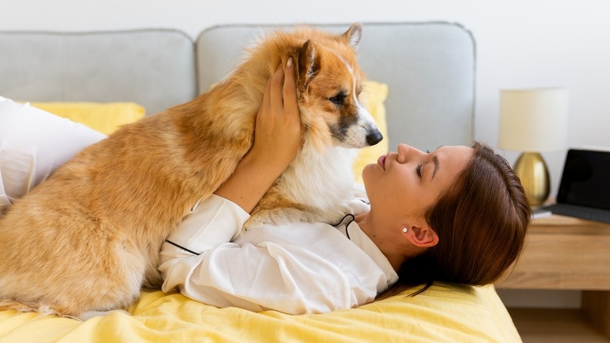 Les risques des câlins avec son chien : les maladies zoonotiques