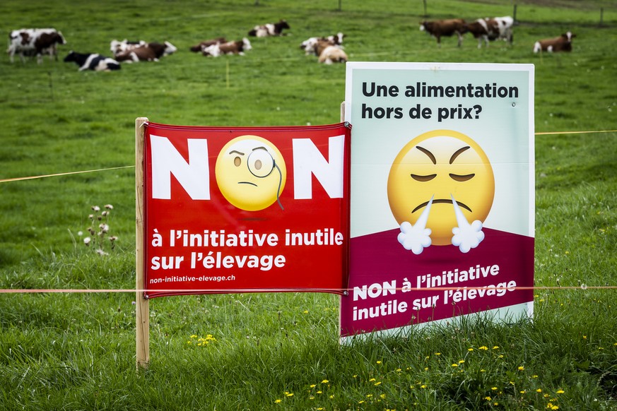 Une banderole du comite &quot; Non a l&#039;initiative inutile sur l&#039;elevage&quot; est visible a cote des vaches dans un champ le mardi 13 septembre 2022 a Puidoux. Le 25 septembre 2022 les citoy ...