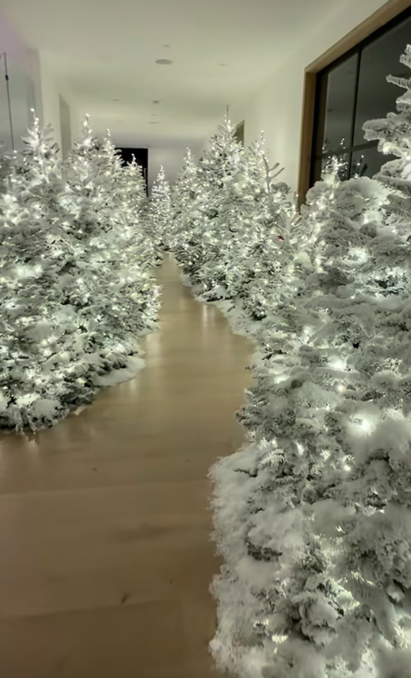 Des sapins verts et des lumières blanches. Sans exception.