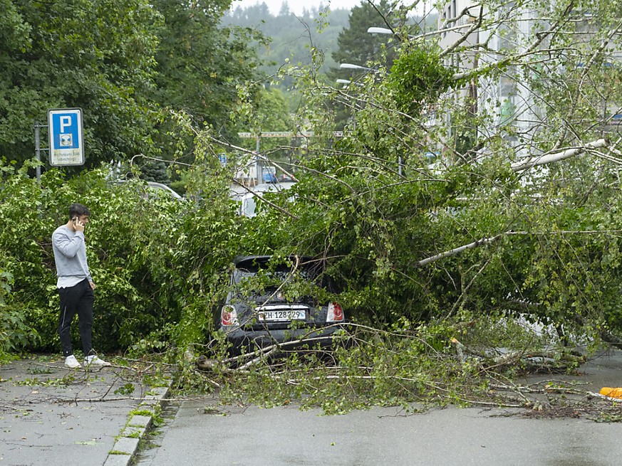 A Zurich, des arbres se sont abattus sur des voitures gar