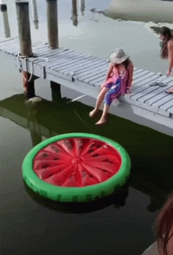 GIF animé