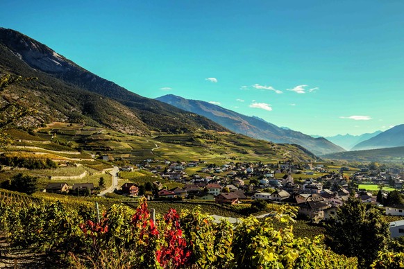 Schweiz. ganz natuerlich. Morgenstimmung in den herbstlichen Rebbergen von Salgesch.