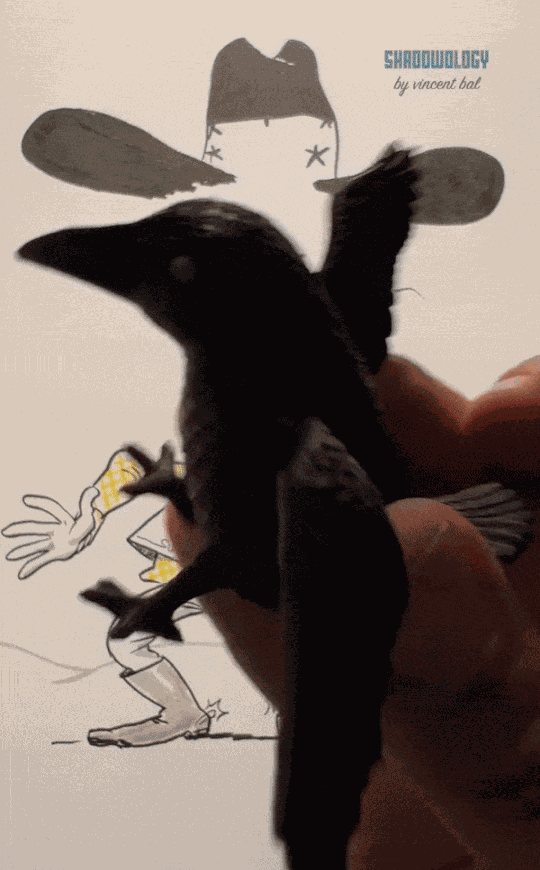 GIF animé