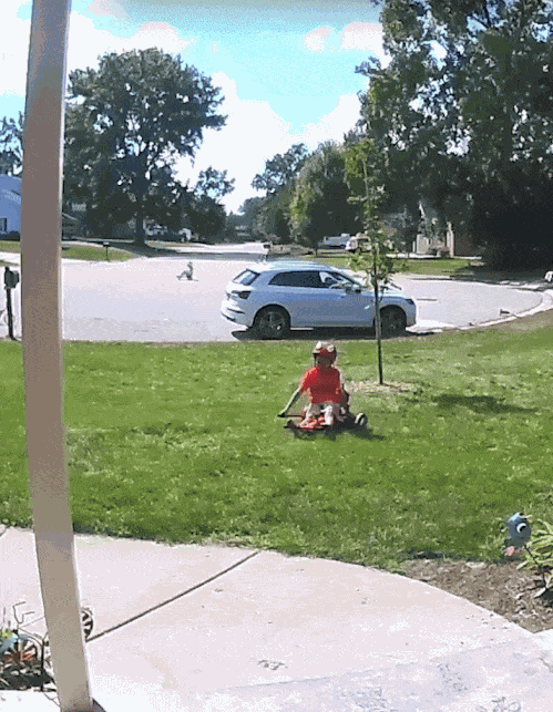 GIF animé