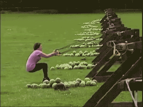 GIF animé