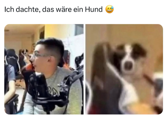 Faildienstag: Optische Täuschung Hund