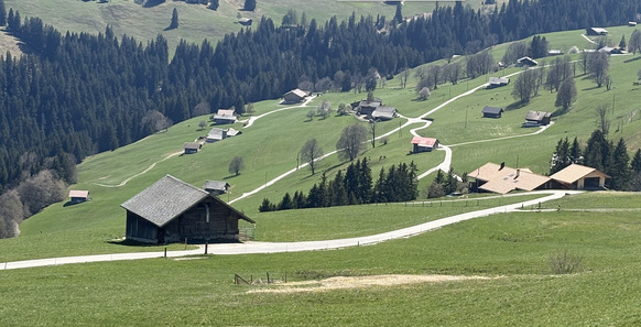 La route sillonne entre les fermes du Simmenthal.