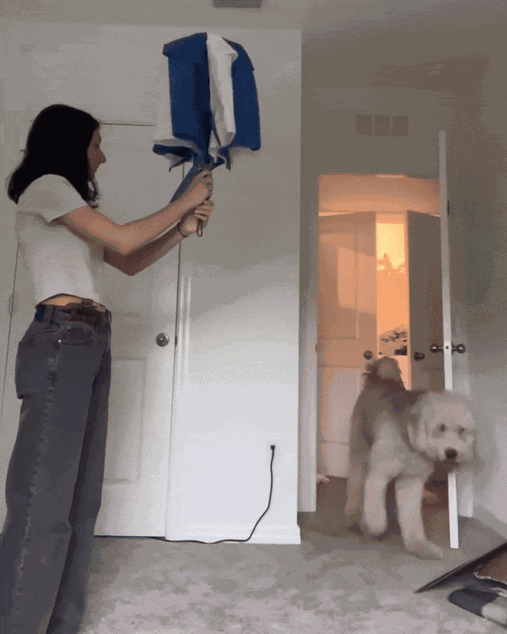 GIF animé