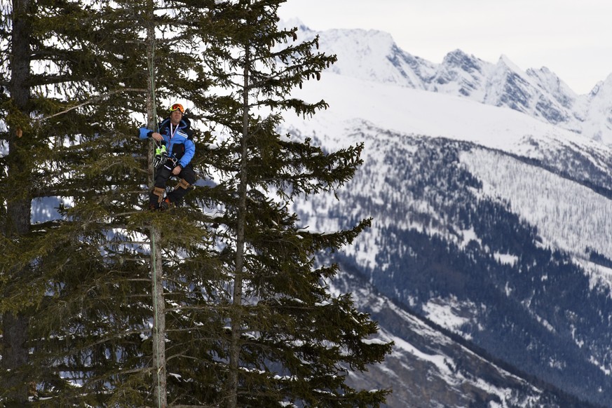 A coach sits on a tree during the women's Super-G race of the Alpine Skiing FIS Ski World Cup in Crans-Montana, Saturday, March 3, 2018. (KEYSTONE/Jean-Christophe Bott)
