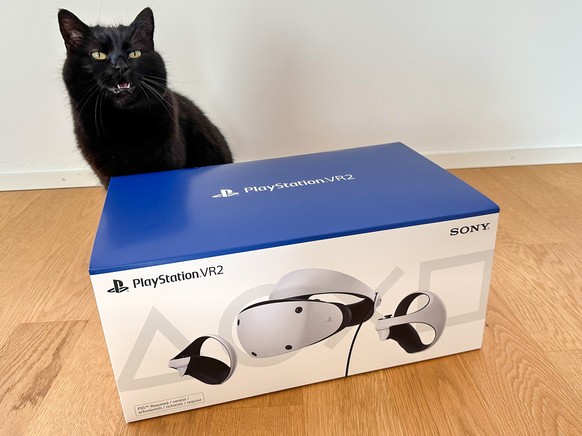Mia - die GAMES.CH-Redaktionskatze - beim PSVR2-Unboxing.