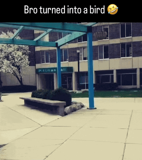 GIF animé
