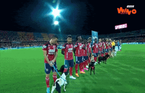 GIF animé