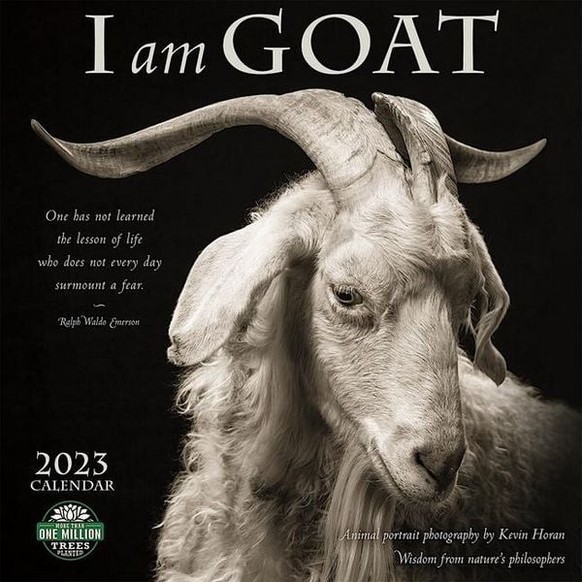 I Am Goat 2023 calendar https://www.orellfuessli.ch/shop/home/artikeldetails/A1064955651?ProvID=10917751&amp;amp;gclid=Cj0KCQiA1sucBhDgARIsAFoytUsb-hlgAeTJIz232rpxNUeLP_j7tF-7X6FIHb96vs5iicecMx1aY64aA ...