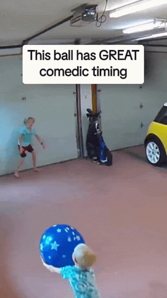 GIF animé