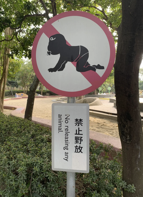 Faildienstag: Lustige Übersetzungsfails