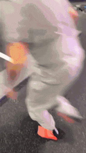 GIF animé