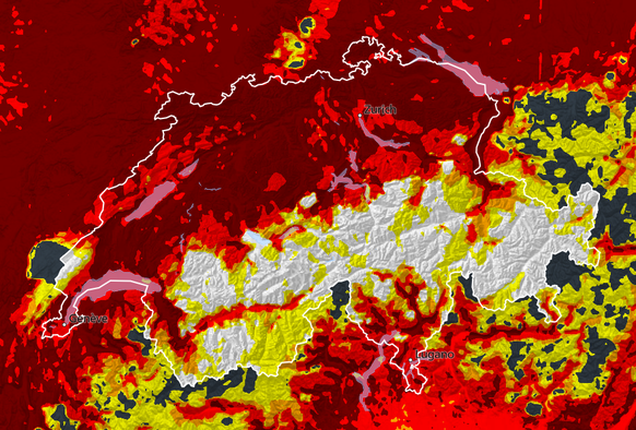 Ce 1er juin la Suisse est en plein dans la saison des graminées des deux côtés des Alpes avec des concentrations fortes à très fortes.