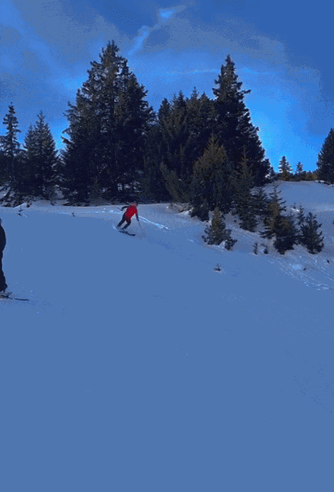 GIF animé