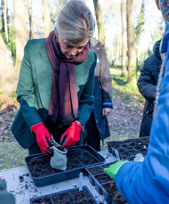 Pendant que Sophie, la duchesse d'Edimbourg, plantait des graines pour l'association Walton Charity...