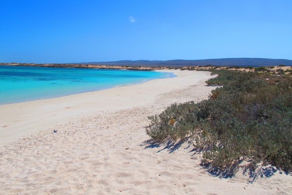 Schönste Strände der Welt für 2026 Turquoise Bay im Cape Range National Park und Ningaloo Marine Park Australien