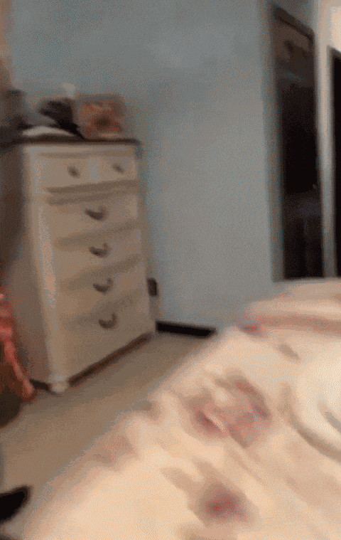 GIF animé