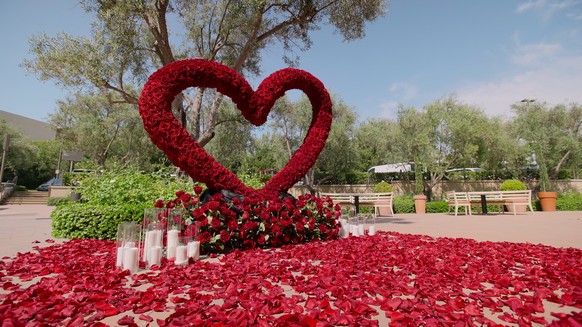 Le genre de compositions florales qu'elle envoie à une «amie» pour la féliciter de ses fiançailles auxquelles elle n'est pas invitée.