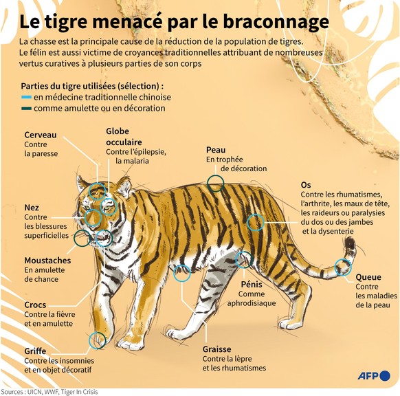 Les croyances diverses et la médecine traditionnelle chinoise alimentent le marché noir.