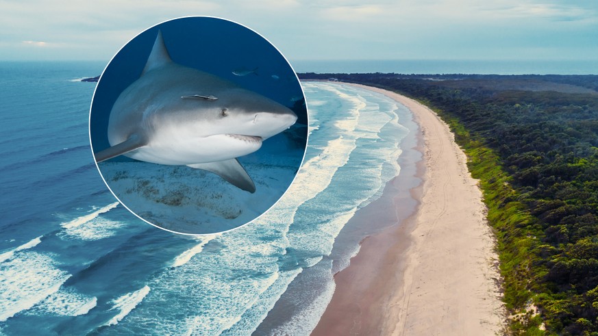 Le drame est survenu au large de Crowdy Bay, au nord de Sydney, et pourrait être le fait d&#039;un requin-bouledogue de trois mètres.