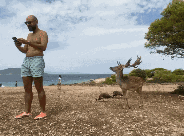 GIF animé