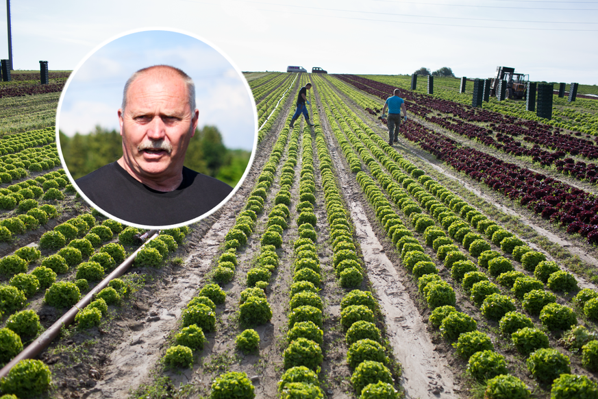 A la tête d'une grande exploitation maraîchère dans le Seeland, Thomas Wyssa se dit qu'il va bientôt devoir privilégier les aubergines aux salades.