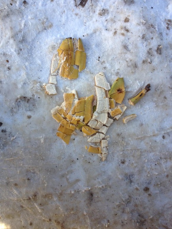 Kälte-Bilder. Zersprungene Bananenschale