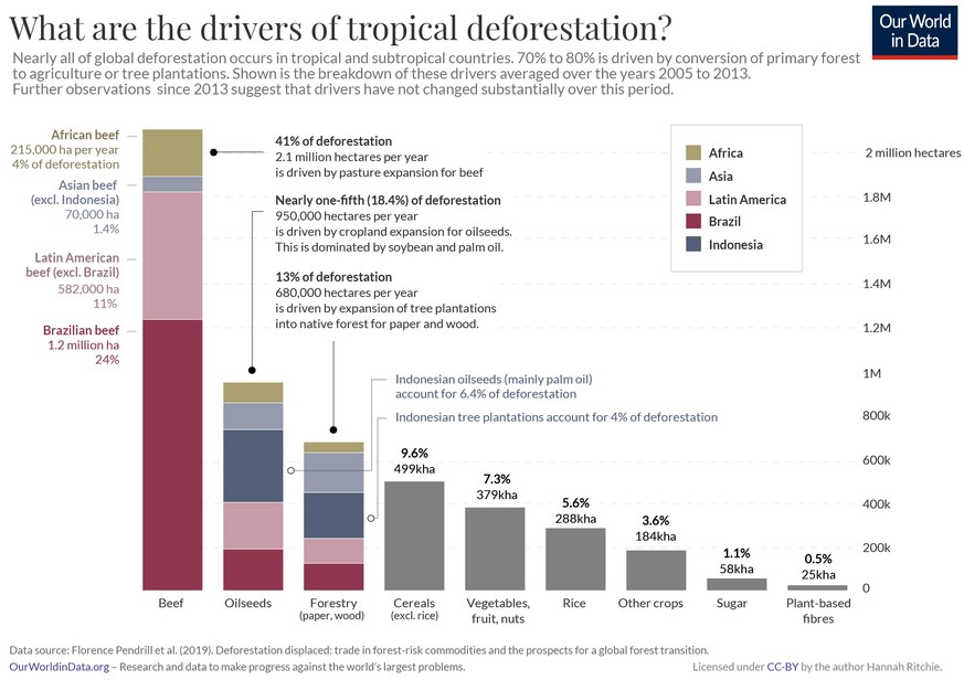 Le plus gros de la déforestation a lieu dans les zones tropicales et subtropicales. La viande de boeuf est responsable de 41% de la déforestation, soit 2,1 million d'hectares par année.