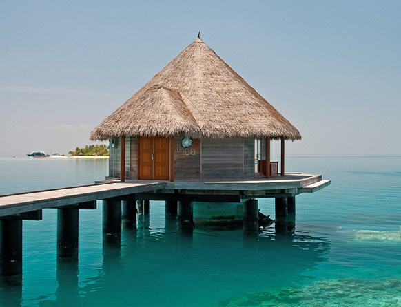 http://conradhotels3.hilton.com/en/hotels/maldives/conrad-maldives-rangali-island-MLEHICI/amenities/restaurants-ithaa.html ithaa undersea restaurant malediven unterwasser fisch essen food reisen hotel