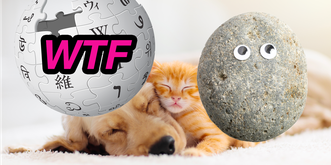 Connaissez-vous le pet rock? L'animal de compagnie le moins relou