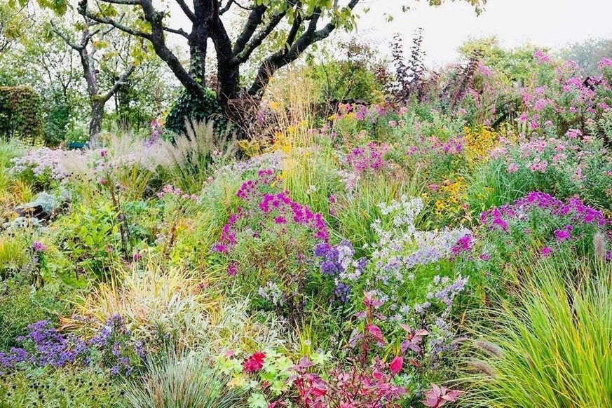 Un jardin qui se réinvente au fil des saisons.