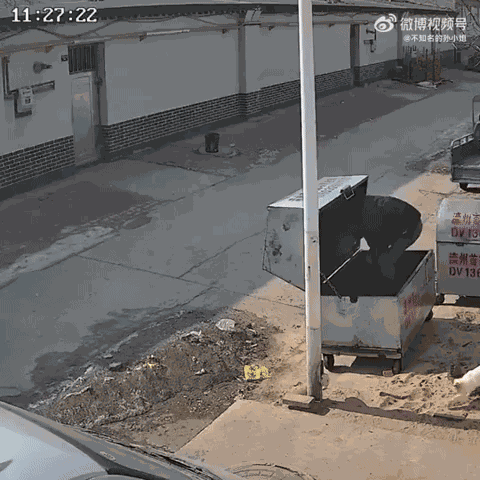 GIF animé