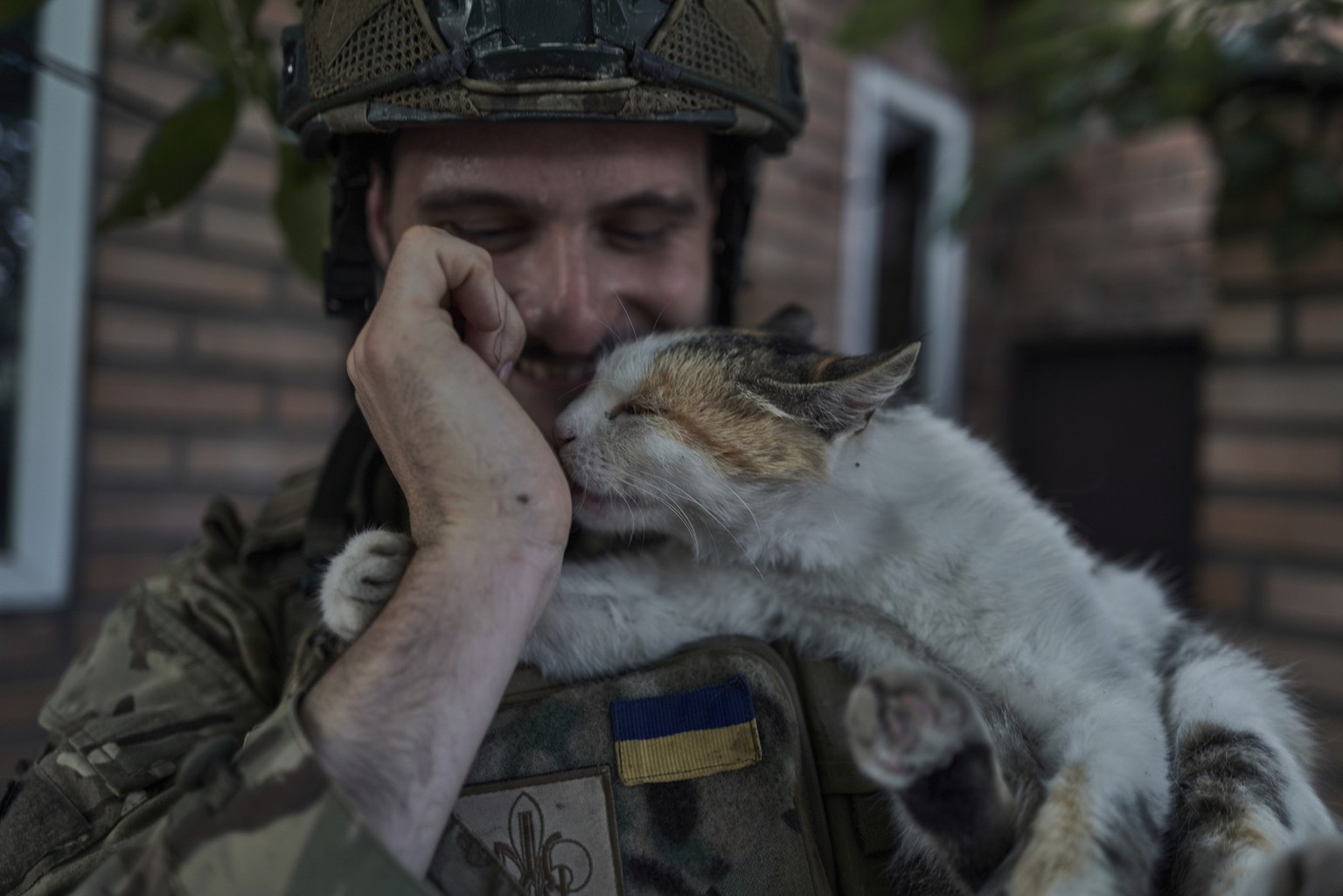 Un policier ukrainien caresse un chat sur le front près de Louhansk, en juillet 2023.