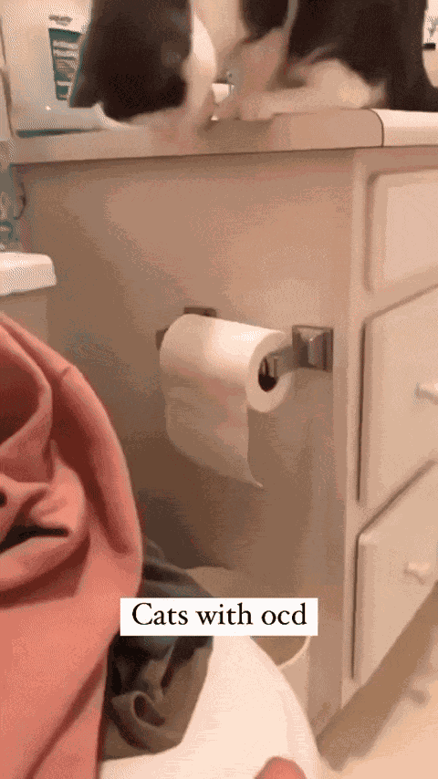GIF animé