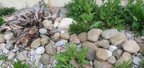 Ast-Steinhaufen Totholz Garten