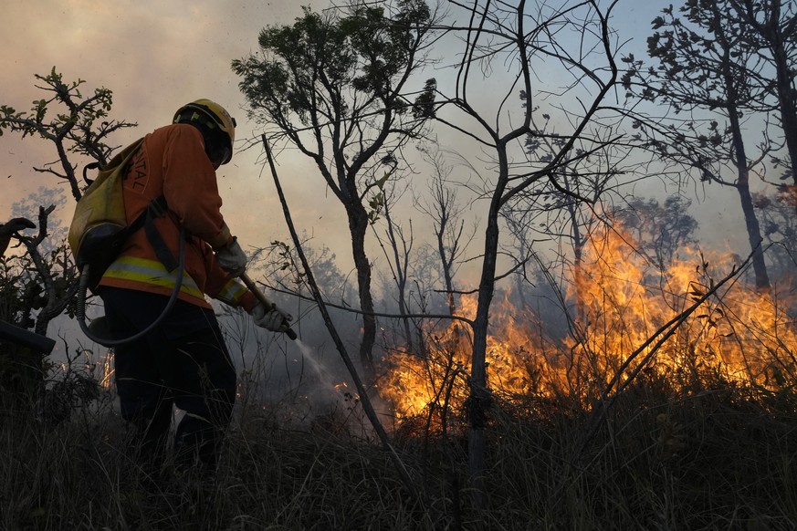 A firefighter works to put out a fire in the native cerrado forest, at the Parque Nacional in Brasilia, Brazil, Monday, Sept. 5, 2022. (AP Photo/Eraldo Peres)