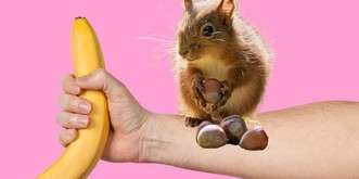 #NoNutNovember: Le défi qui veut vous priver de sexe pendant un mois